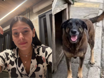 Ana Castela mostra indignação com morte de cão espancado: "Coração tão frio"