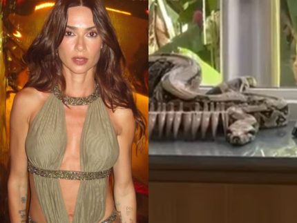 Thaila Ayala aciona bombeiros após encontrar cobra na sala de jantar de casa