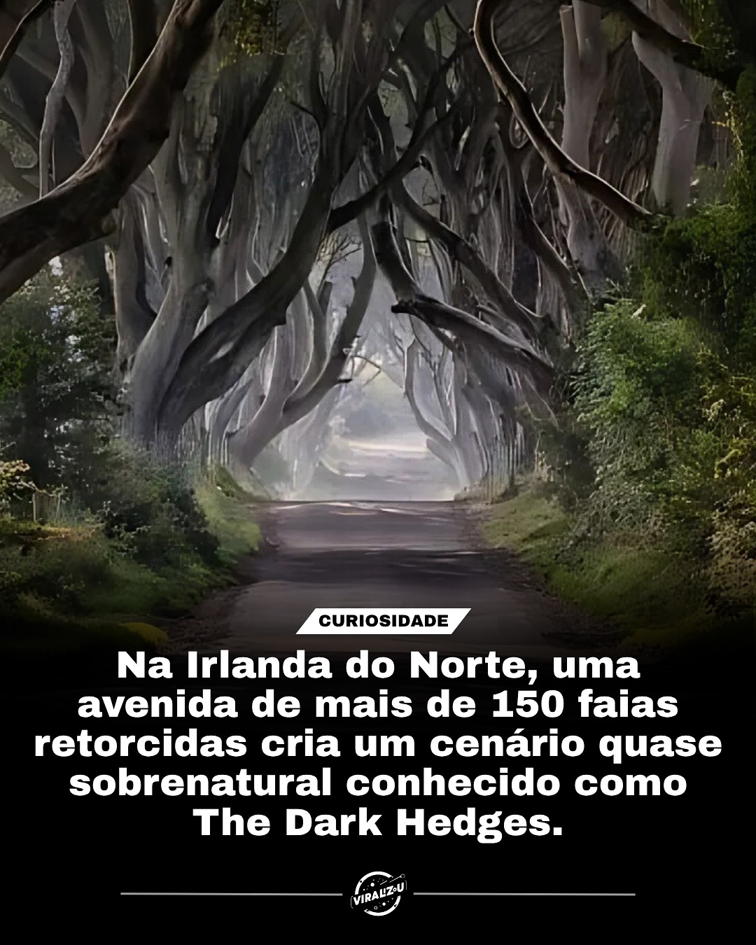 Túnel de Faias: O Encanto Sombrio da Irlanda do Norte em Game of Thrones